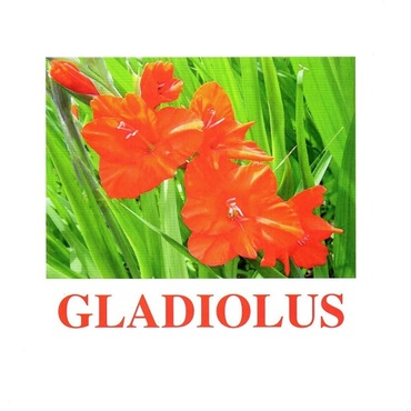 "Flowers-1" ("Цветы-1") английские карточки Домана - «globural.ru» - Воткинск