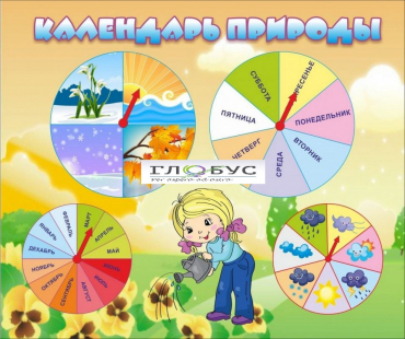 Стенд "Календарь природы" (вариант 1) - «globural.ru» - Воткинск