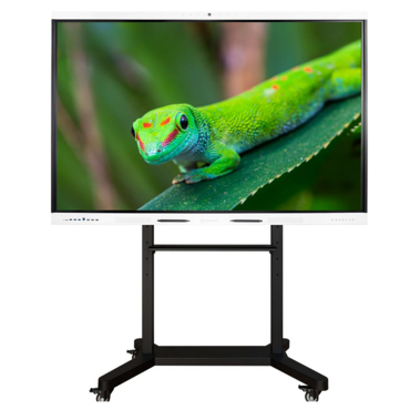 Интерактивный комплекс Geckotouch ​​​​​​​75RK - «globural.ru» - Воткинск