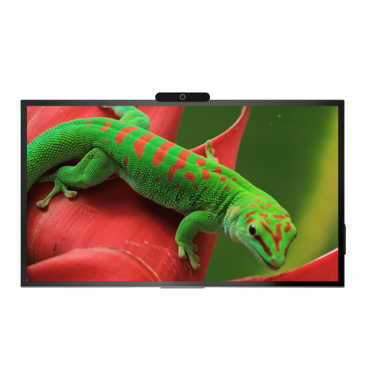 Интерактивная панель Geckotouch Interactive 65R - «globural.ru» - Воткинск
