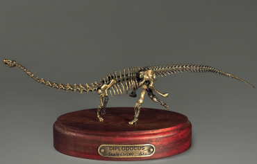 Модель скелета динозавра Diplodocus (вариант 1) - «globural.ru» - Воткинск