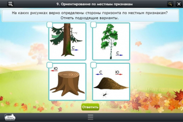 Интерактивные курсы. Окружающий мир 1 класс. Базовый - «globural.ru» - Воткинск
