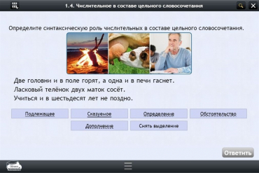 Интерактивные курсы. Русский язык 6 класс. Базовый - «globural.ru» - Воткинск