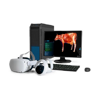 Интерактивный учебный комплекс «Анатомия Коровы» - «globural.ru» - Воткинск