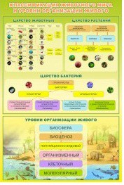 Стенд "Классификация животного мира" - «globural.ru» - Воткинск